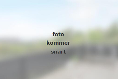 Ansager